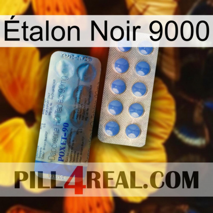 Étalon Noir 9000 40